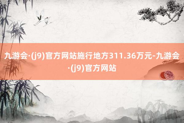 九游会·(j9)官方网站施行地方311.36万元-九游会·(j9)官方网站