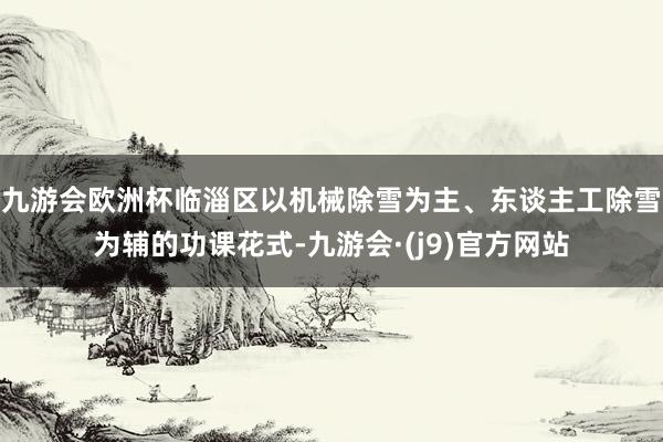 九游会欧洲杯临淄区以机械除雪为主、东谈主工除雪为辅的功课花式-九游会·(j9)官方网站