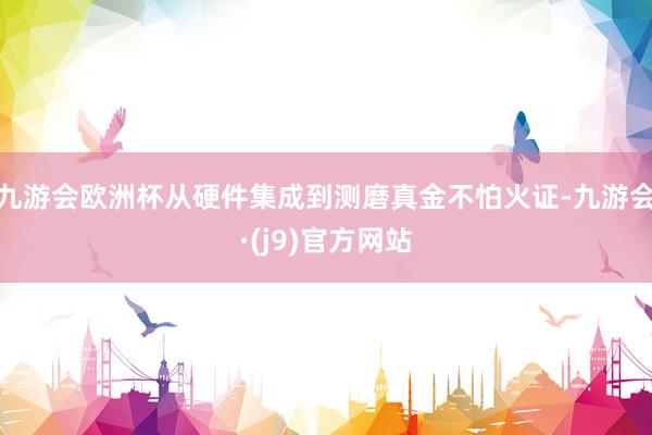 九游会欧洲杯从硬件集成到测磨真金不怕火证-九游会·(j9)官方网站