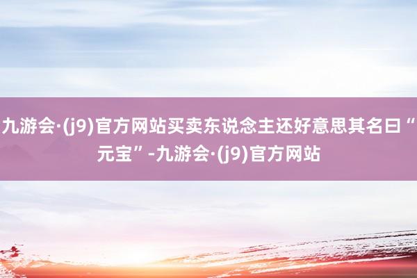九游会·(j9)官方网站买卖东说念主还好意思其名曰“元宝”-九游会·(j9)官方网站