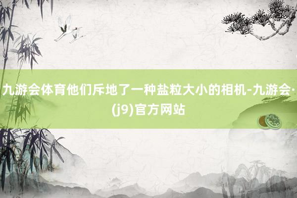九游会体育他们斥地了一种盐粒大小的相机-九游会·(j9)官方网站