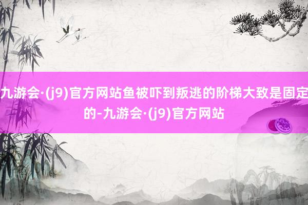 九游会·(j9)官方网站鱼被吓到叛逃的阶梯大致是固定的-九游会·(j9)官方网站