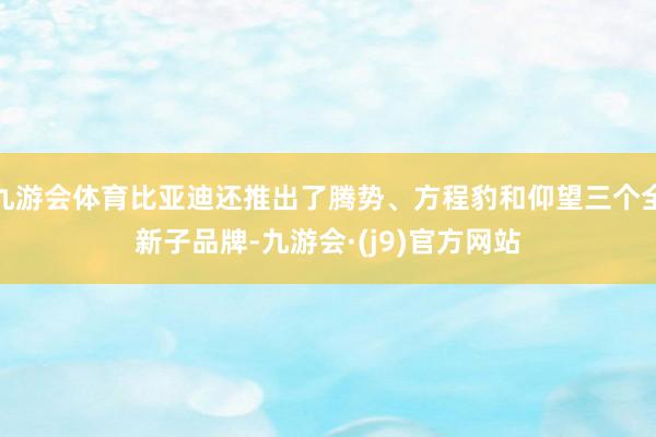 九游会体育比亚迪还推出了腾势、方程豹和仰望三个全新子品牌-九游会·(j9)官方网站