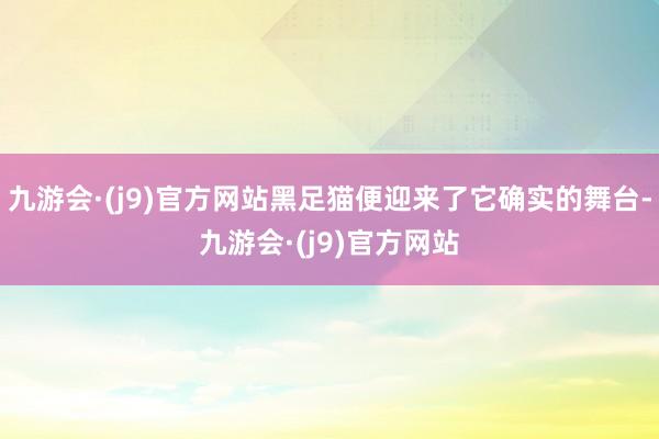 九游会·(j9)官方网站黑足猫便迎来了它确实的舞台-九游会·(j9)官方网站