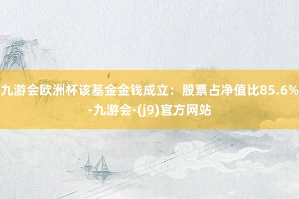 九游会欧洲杯该基金金钱成立：股票占净值比85.6%-九游会·(j9)官方网站
