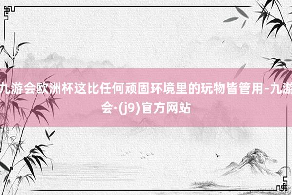 九游会欧洲杯这比任何顽固环境里的玩物皆管用-九游会·(j9)官方网站