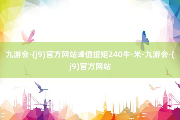 九游会·(j9)官方网站峰值扭矩240牛·米-九游会·(j9)官方网站