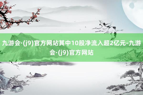 九游会·(j9)官方网站其中10股净流入超2亿元-九游会·(j9)官方网站