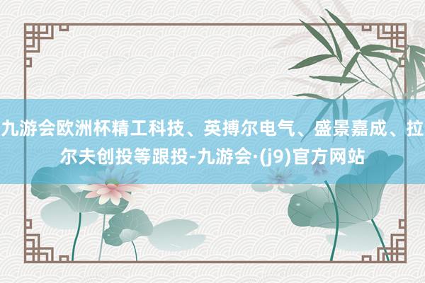 九游会欧洲杯精工科技、英搏尔电气、盛景嘉成、拉尔夫创投等跟投-九游会·(j9)官方网站
