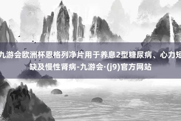 九游会欧洲杯恩格列净片用于养息2型糖尿病、心力短缺及慢性肾病-九游会·(j9)官方网站