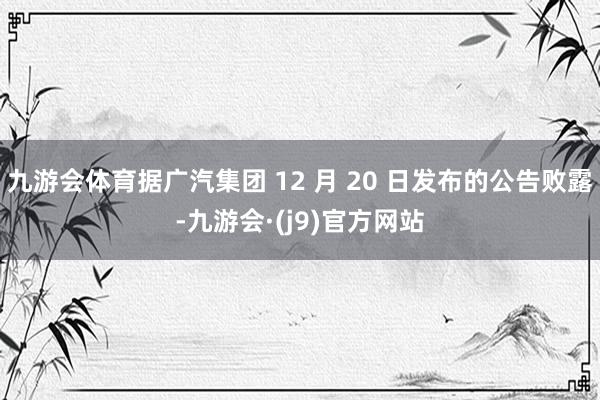 九游会体育据广汽集团 12 月 20 日发布的公告败露-九游会·(j9)官方网站